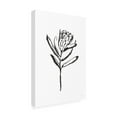 thumbnail image 2 of Chris Paschke 'Line Protea I' Canvas Art, 2 of 3
