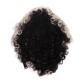 thumbnail image 3 of Short Grey Curly , Women Short Curly   Breathability  Texture  For Daily Wear, 3 of 8