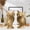 Beige A, variant on WIZUTIZ Unfinished Wooden Cat Ornament DIY Paintable Wood Decor for Tabletop Display Natural Craft Blank for Home Decoration Art Projects and Seasonal Activities