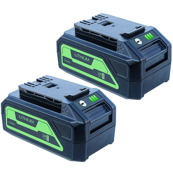 BOTKK Upgraded 5000mAh 24V Replacement for Greenworks 24V Battery 29842 29852 LB24A020 (2pack)