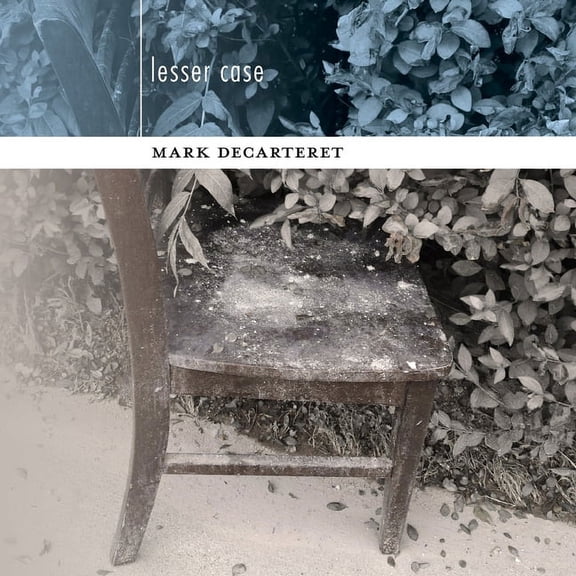 lesser case, (Paperback)