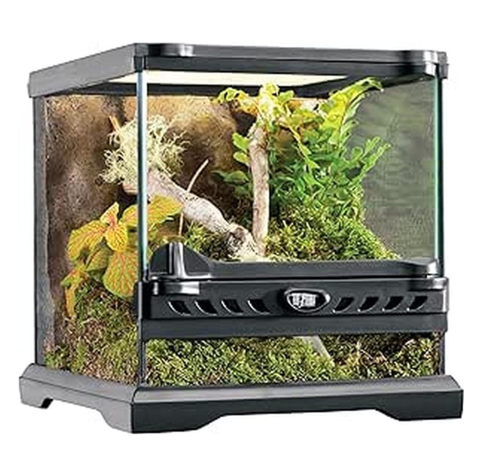 水草 kuroneko_terrarium Create a fantastic aqua terrarium