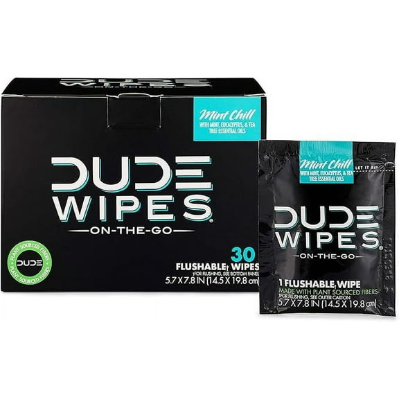 Dude Wipes Mint Chill On-The-Go Flushable Personal Wipes, 30 Ea, 2 Pack