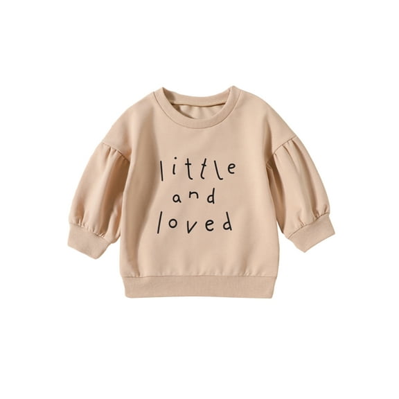 Bagilaanoe Toddler Baby Girl Boy Casual Sweatshirt Long Sleeve Letter Print Pullover 6M 12M 18M 24M 3T Kids Fall Loose Tee Tops