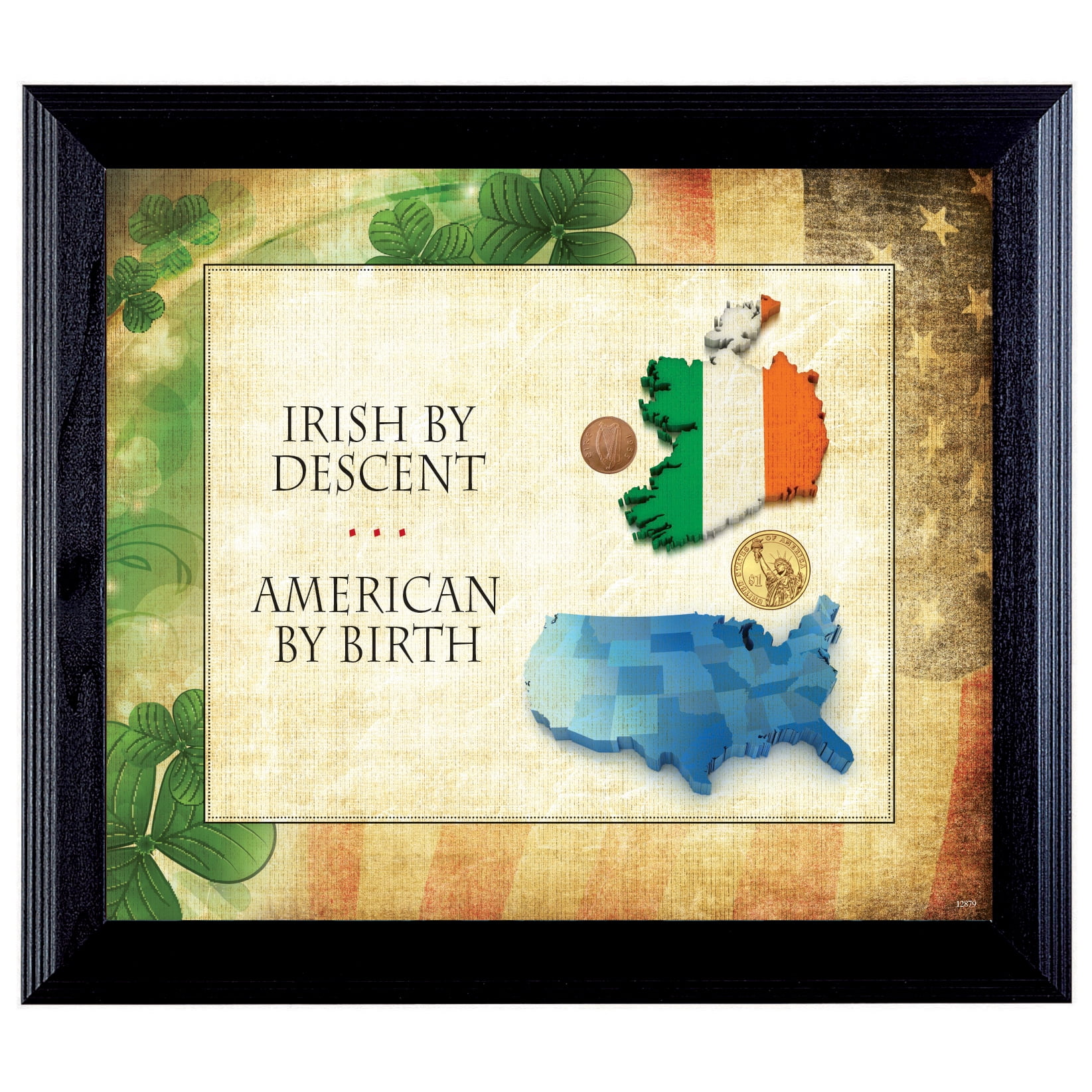 Irish Heritage and American Birth Coin Display Frame