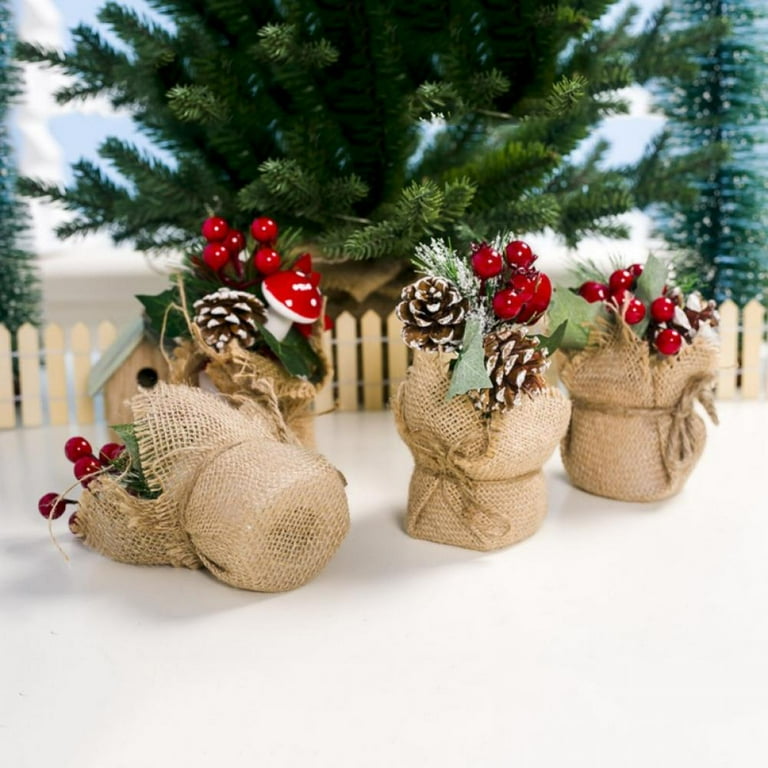 Potted on sale christmas flowers