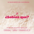 thumbnail image 3 of The Face Shop Rice Water Bright - Aceite Limpiador Facial con Agua de Arroz y Jojoba 150 ml | Skincare Coreano Iluminador | Desmaquillante Nutritivo, Limpieza Profunda sin Sensaci&oacute;n Grasosa, 3 of 7