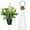 White, variant on Macrame Plant Hanger - 36 Inches Long, Indoor & Outdoor - Multiple Color Options