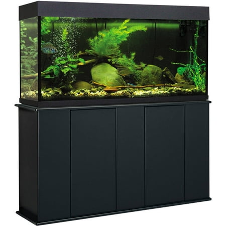 Upright Aquarium Stand, Black, 55 Gallon (Best Cichlids For A 55 Gallon Tank)