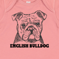 thumbnail image 4 of Inktastic English Bulldog Sketch Portrait with Dog Breed Name Boys or Girls Baby Bodysuit, 4 of 5
