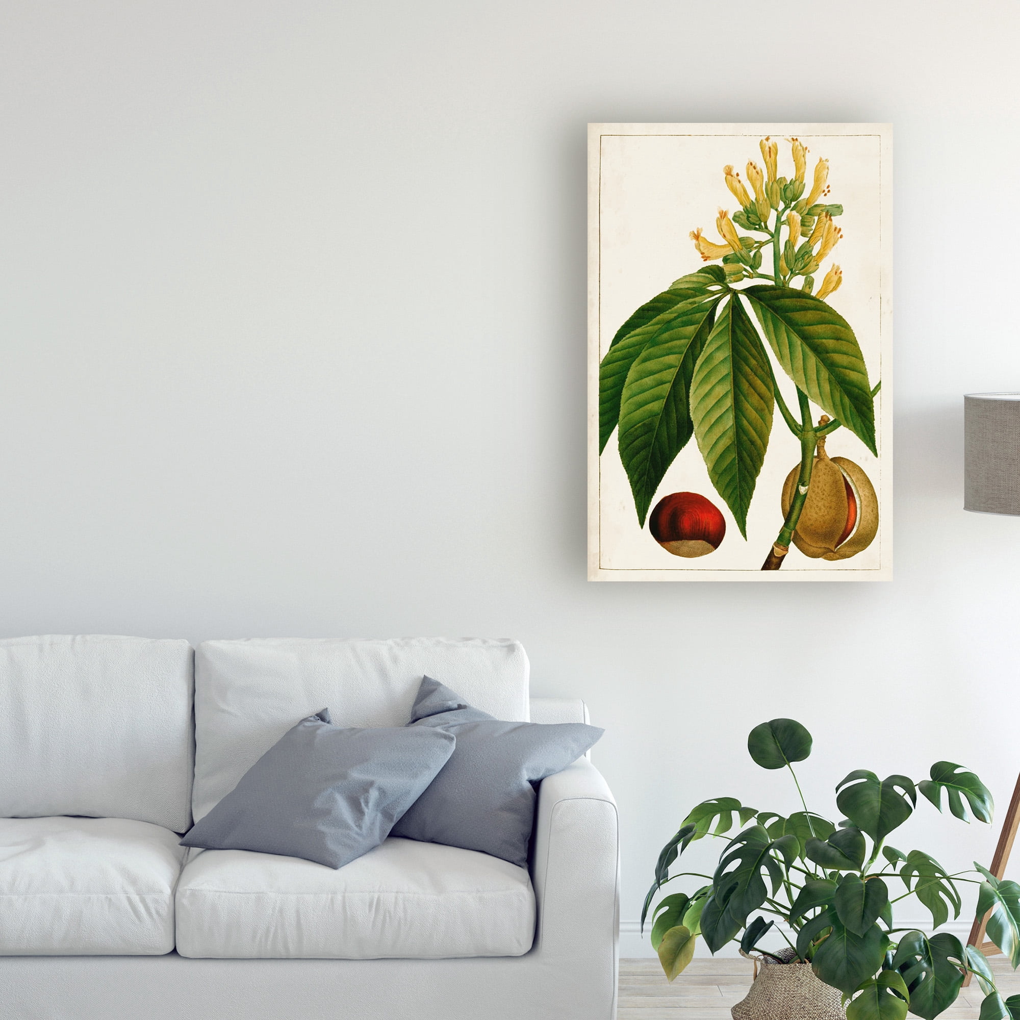 Trademark Fine Art 'Antique Flowering Trees VI' Canvas Art by Unknown