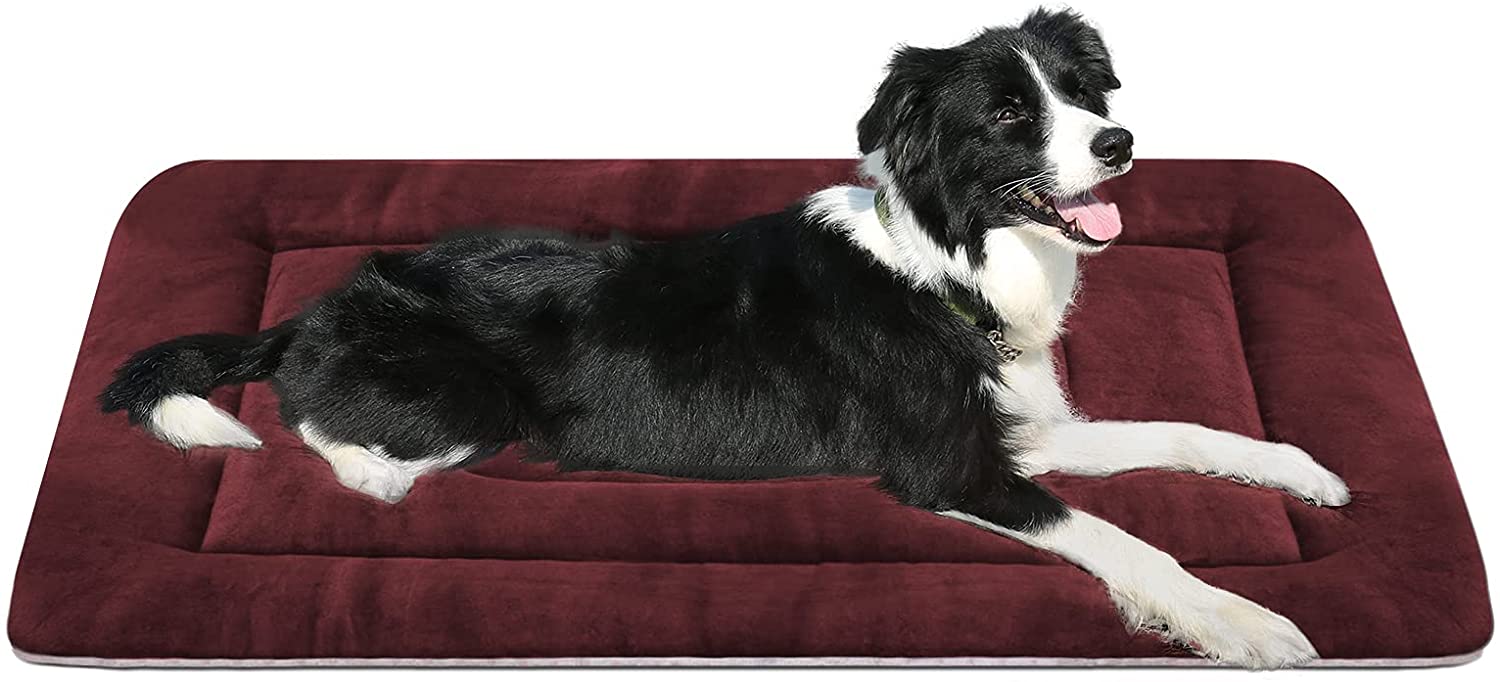Image showcasing PROCIPE Dog Bed Crate Mat Cozy Pet Beds For Small Dogs Sleeping 36inch ...