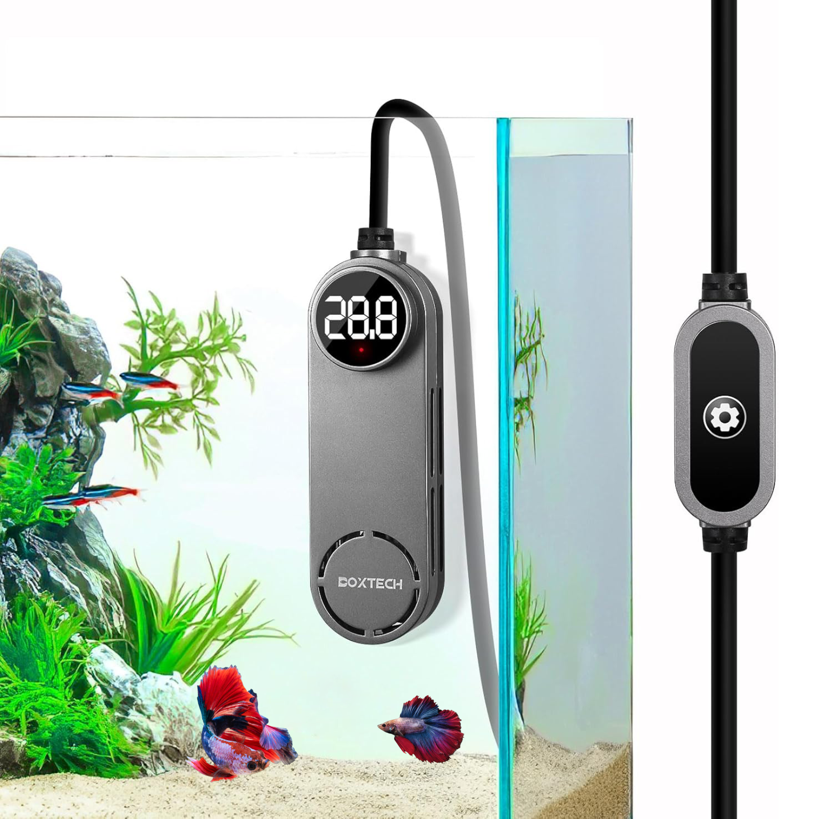 UPETTOOLS 50W Mini Aquarium Heater for 5-10 Gallon Tanks – Submersible Fish Tank Heater with Digital Display & External Temperature Controller, Adjustable 68°F-93°F, for Betta & Turtle Tanks，Shrimp