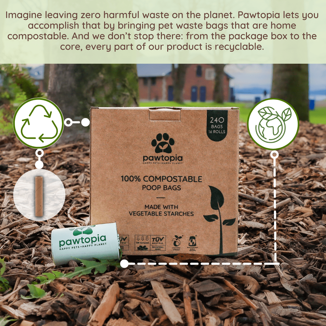 Pawtopia Certified Home Compostable Biodegradable Dog Poop Bags |  Cat Litter Bags (240 Bags, Green)