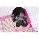 thumbnail image 5 of Rabbit Litter Box Easy To Clean, For Learning To Use The Toilet, For Small Animals/rabbits/guinea Pigs/ferrets (pink), 5 of 5