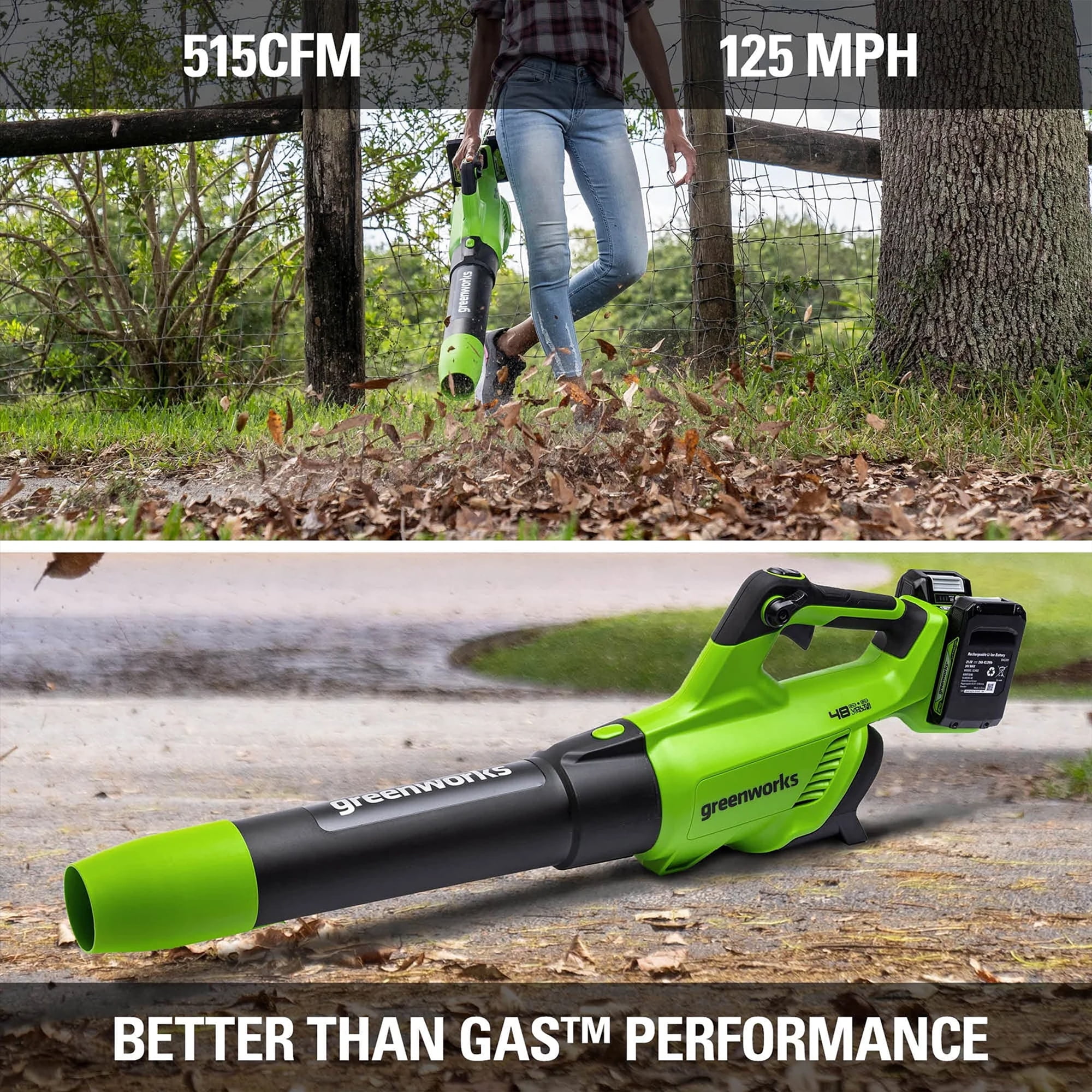 Greenworks 48V (24V x 2) Brushless Leaf Blower 515​CFM 125MPH Leaf Blower + 2 (24V) 2.0Ah Batteries & 4A Dual Port Charger