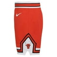 thumbnail image 2 of Toddler Nike Red Chicago Bulls Icon Replica Shorts, 2 of 2