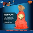 thumbnail image 4 of DC Comics Superhero Superman Halloween Dog Costume - Medium - | DC Superhero Halloween Costumes for Dogs, Funny Dog Costumes | Officially Licensed DC Dog Halloween Costume Blue, 4 of 7