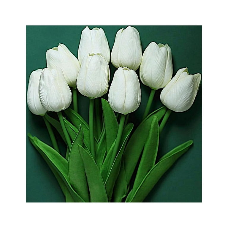 Tulip Flower Stems Bundle, 10 Piece –