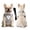 H7-Gray-XL, variant on Dog Tuxedo for Large Dogs Adjustable Formal Bowtie Bandana Collar Suit with Soft Breathable Fabric Wedding Grooming Birthday Party Costume for Boy Dog,Beige-XL