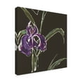 thumbnail image 2 of Trademark Fine Art 'Iris on Black II' Canvas Art by Chris Paschke, 2 of 3