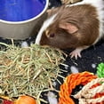 thumbnail image 5 of Blue Mountain Hay | 40 oz. Fresh Orchard Grass Hay | Available in 15 oz. & 40 oz. Pouches | Nutritious, Delicious Meal Or Snack for Rabbits, Guinea Pigs, Hamsters, Gerbils, and Other Small Pets, 5 of 5