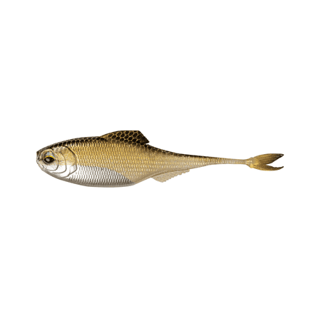 6th Sense Fiction Shad 3.4 in Soft Plastic Swimbait Realistic Baitfish Profile Bass Fishing Lure