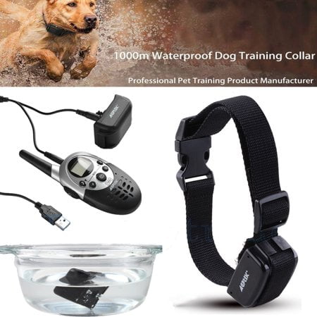 dog shock collar walmart