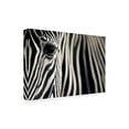 thumbnail image 4 of Mario Moreno 'Eye & Stripes' Canvas Art, 4 of 4