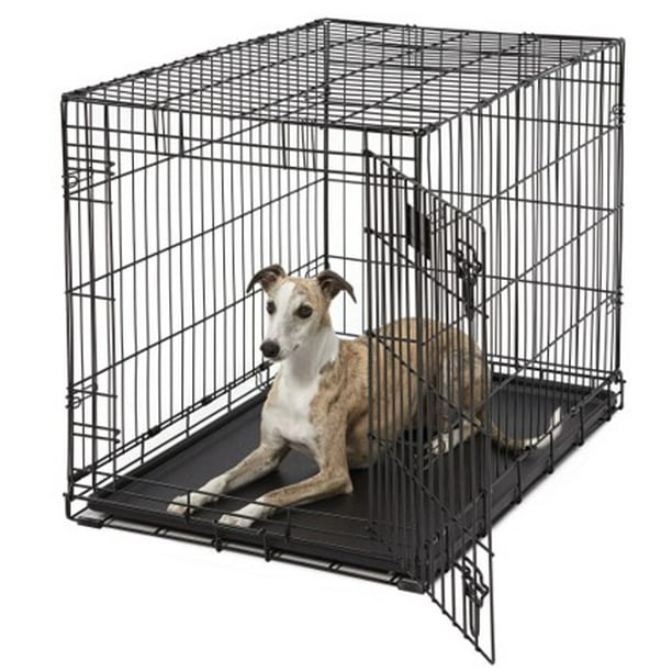 MidWest LifeStages Single Door Dog Crate, 36"