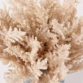 thumbnail image 5 of SAFAVIEH Faux 14 Inch Potted Broom Corn Plant, Beige, 5 of 6