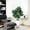 5FT, variant on Gaderth Artificial Fiddle Leaf Tree, Artificial Fig Trees Floor Plants, Faux Plant Fake Ficus Lyrata Silk Trees with White Planter for House Office Home Decor
