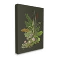 thumbnail image 3 of Stupell Industries Natural Forest Floor Botanical Arrangement Mixed Mushrooms Ferns Graphic Art Gallery Wrapped Canvas Print Wall Art, Design by House of Rose, 3 of 7