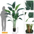 thumbnail image 2 of Artificial Bird of Paradise Plant 6FT(72in) FakeTree for Indoor Outdoor Modern Decor Faux Plants for Home Office Perfect Housewarming Gift with 17 Trunks Faux Leaves and 3 Faux Flowers, 2 of 7
