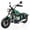 Green, variant on SaveJoy BMW Licensed 24V 280W Electric Dirt Bike, Electric Powered Motorcycles for Boys Girls Kids Age 3-8-12, w/ Removable Training Wheels, Black