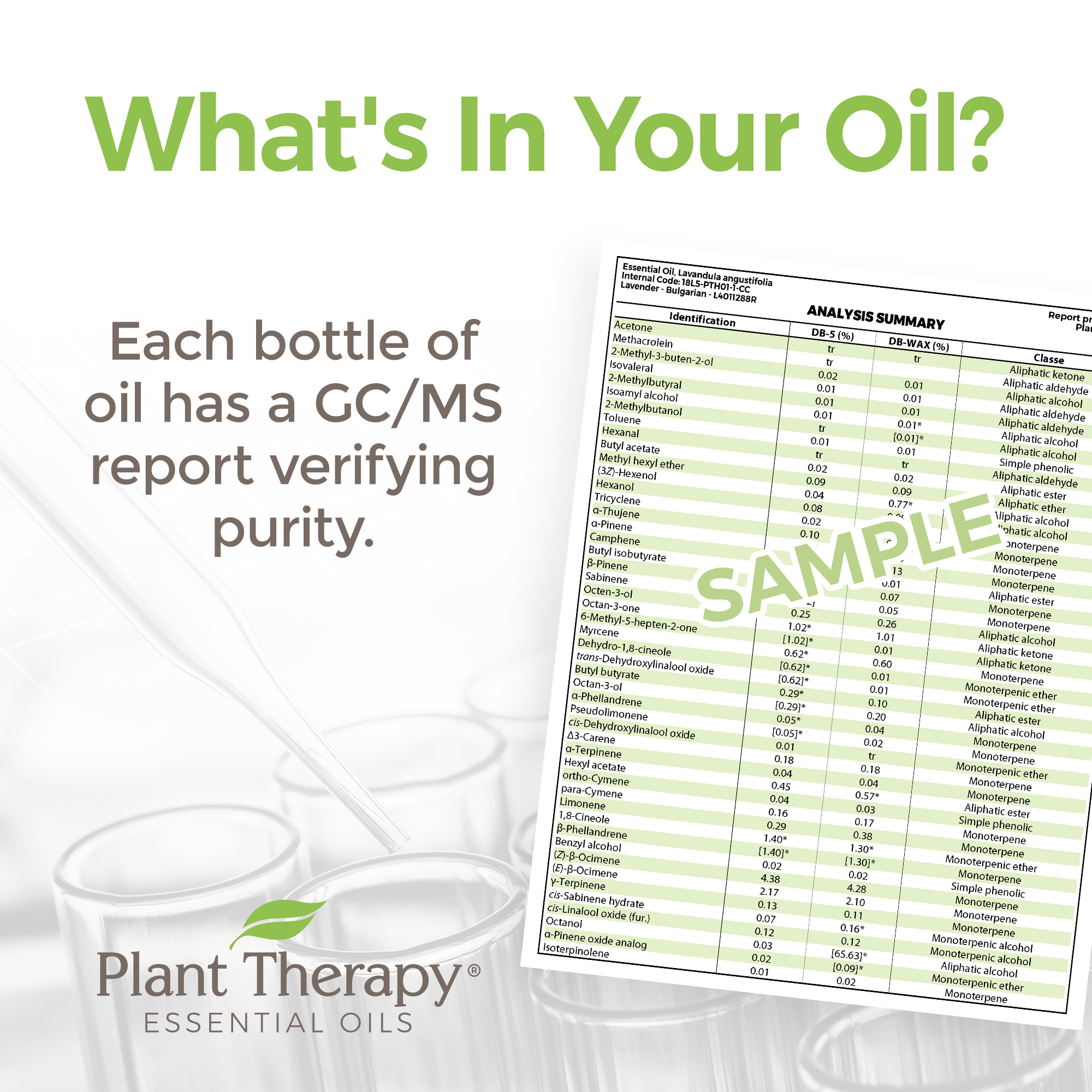 Plant Therapy Catnip Essential Oil 100% Pure, Undiluted, Natural Aromatherapy, Natural Aromatherapy 10 mL (1/3 oz)