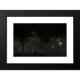 thumbnail image 2 of Józef Pankiewicz 24x17 Black Modern Framed Museum Art Print Titled - Swans in the Saski Garden at Night (1896), 2 of 5