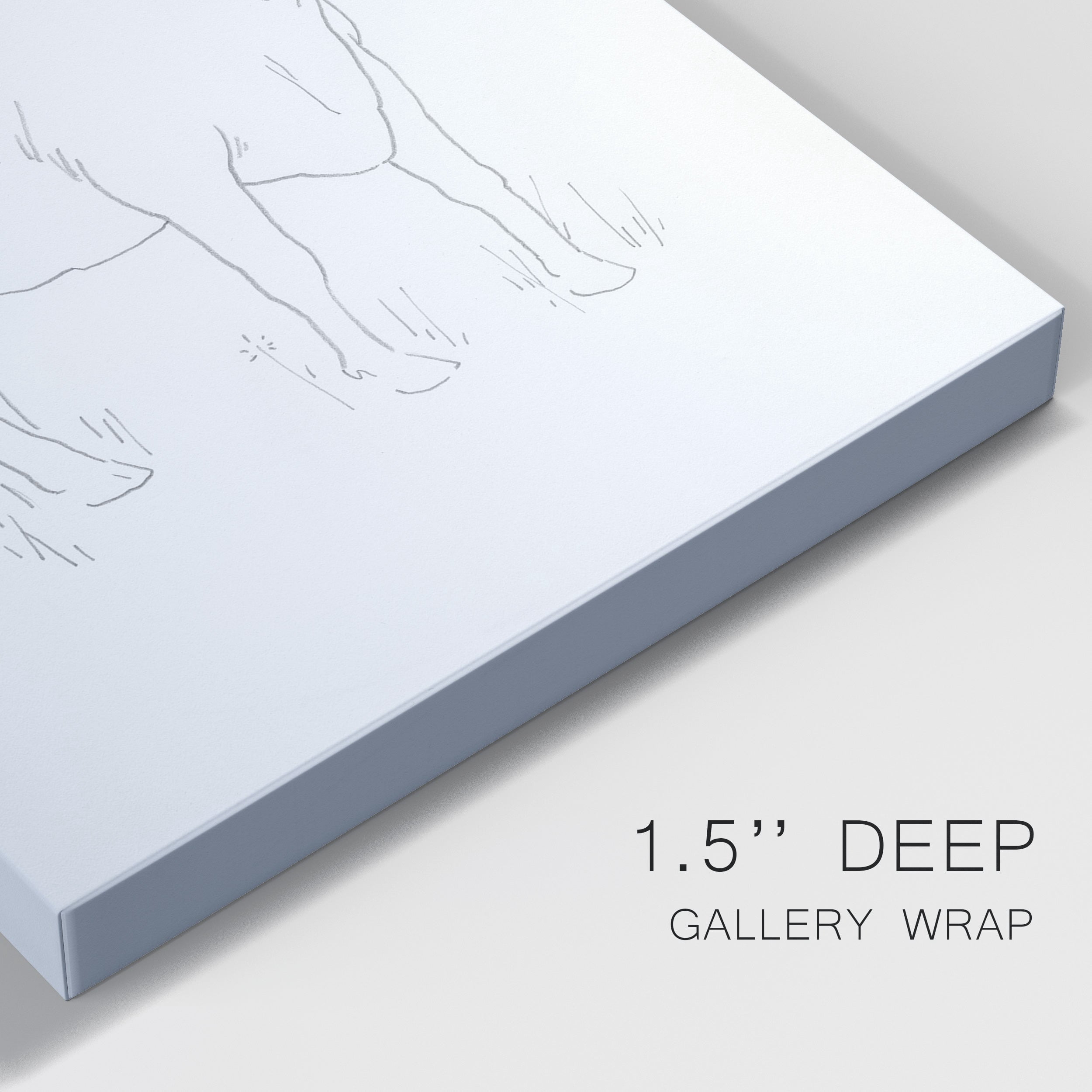 Limousin Cattle III Premium Gallery Wrapped Canvas - Ready to Hang