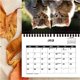 thumbnail image 5 of Popular! Desk Calendar 2025,12 Monthly Wall Calendar Assorted Patterns, Easy To HangClearance, 5 of 5
