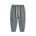 thumbnail image 2 of Pants for Girls Boys Dinosaur Print Athletic Sporty Long Pants Toddler Dark Gray 12-18 Months, 2 of 3