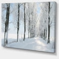thumbnail image 2 of Belle Photo de Chemin de Forêt d'Hiver - Grande Impression sur Toile, 2 of 4