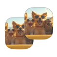thumbnail image 2 of Bulopur Funny Dog Cat Car Windshield Sun Shade Prevent Sunlight Sun Visor for Car Windshield Keep Your Vehicle Cool Automotive Window Sunshades Fit Most Vans SUVs Trucks, Set of 2, 2 of 6