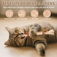 thumbnail image 5 of Natural Dried Matatabi Cat Chew Stick with Gall Fruit, Raffia Grass & Bell Cat Ball Toys, Handmade Silvervine Sticks Interactive Catnip Toys for Teething & Entertainment (Size L Color I), 5 of 8