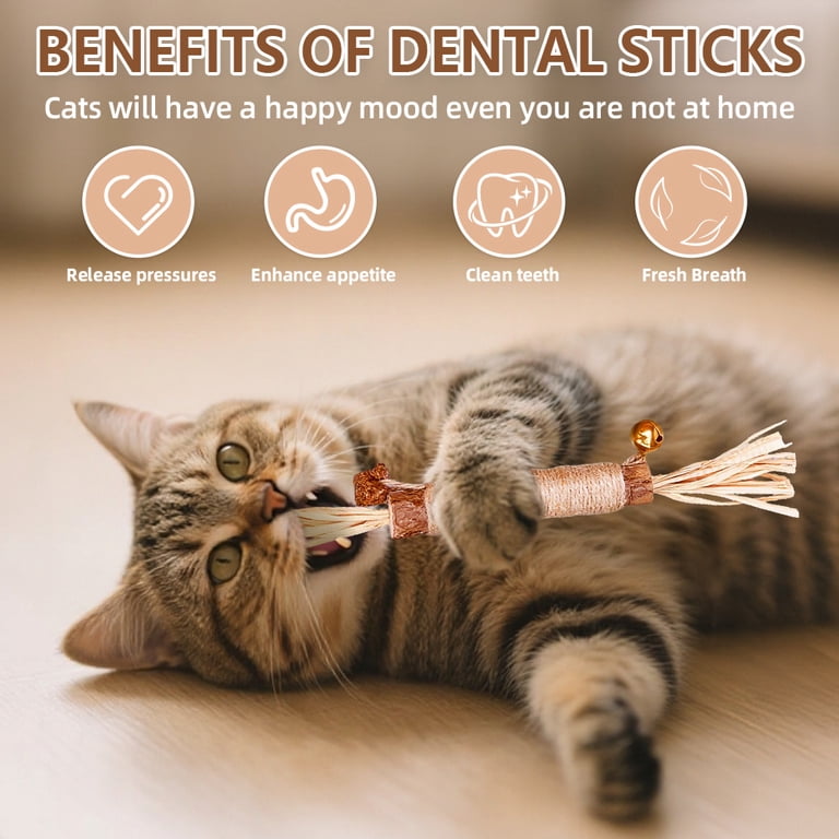 JoyArrive Natural Silvervine Cat Chew Sticks, 5-Pack photo 3