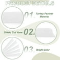 thumbnail image 3 of Uxcell Arrow Vanes Turkey Archery Arrows Feathers Fletching, Right Wing Fit for Hunting Target Shooting - Shield Cut White, 3 of 5
