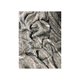 thumbnail image 4 of Cobija de Donación Cobertor de Tigre Pack de 3 pz, 4 of 4