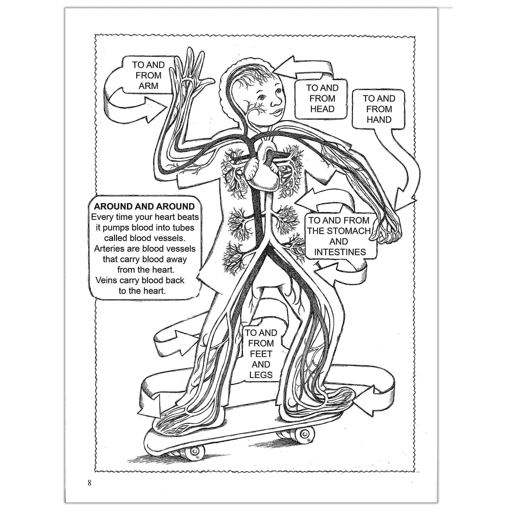 Dover Coloring Book My First Human Body Coloring Book, Pack of 6