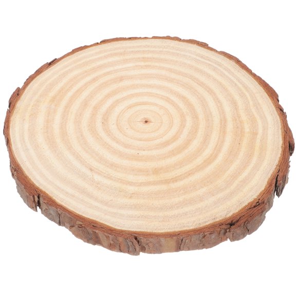 Omeite Blank Wood Circle Blank Wood Block Wood Table Centerpiece Unfinished Wood Round