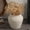 Plain White, variant on Rustic Vases for Home Decor. Ceramic Vase for Dining Table Decor. Terracotta Decorative Vase 9.7IN.