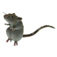 thumbnail image 4 of Realistic Vivid Mouse Animal Figure Micro Landscape Ornament Yard Art Craft Toy, 4 of 8